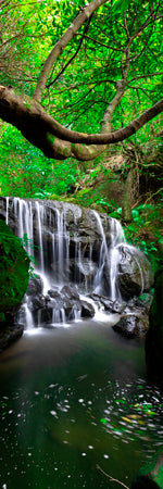 Beautiful waterfall in the blue mountains. new South Wales. Shaun Trainer photography. Purchase fine art landscape photography prints. Luxury Interior design ideas.