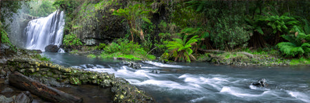 Beautiful Tasmanian waterfalls. Guide Falls in full flow, Guide falls, Tasmania. Australia. Panoramic photograph, Shaun Trainer photography. Purchase fine art landscape photography prints. Luxury Interior design ideas.