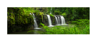 Shaun Trainer Fine Art Landscape Photography Prints. Nandroya Falls waterfall surrounded by beautiful lush rain forest. Cairns, Queensland Australia.