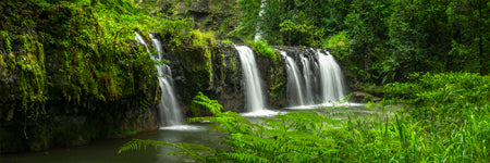 Shaun Trainer Fine Art Landscape Photography Prints. Nandroya Falls waterfall surrounded by beautiful lush rain forest. Cairns, Queensland Australia.