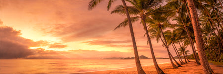 Shaun Trainer Fine Art Landscape Photography Prints. Sunrise at Palm Cove as the sun busts through the clouds bathing the shore and Palm trees in beautiful golden light. Cairns, Queensland Australia.