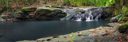 A quiet peaceful scene at serenity waterfall in Buderim, Sunshine Coast, Queensland, Australia. Panoramic photograph, Shaun Trainer photography. Purchase fine art landscape photography prints. Luxury Interior design ideas.