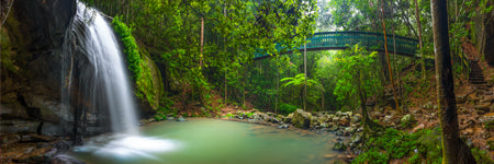 Waterfall at Buderim Falls, serenity falls Queensland Australia. Shaun Trainer photography. Purchase fine art landscape photography prints. Luxury Interior design ideas.