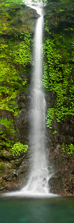 Shaun Trainer Fine Art Landscape Photography Prints. Stunning Silver Falls waterfall surrounded by lush green rainforest. Far North Queensland, Australia.