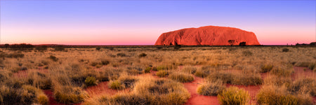 Sunset at uluru, ayers rock. The red heart of Australia. Iconic red rock. Outback Northern territory. kata tjuta, Uluru Northern Territory Outback, Australia. Panoramic photograph, Shaun Trainer photography. Purchase fine art landscape photography prints. Luxury Interior design ideas.