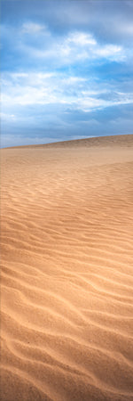 Wind gently blowing the sand creating ripples of art in the sand dunes. Shaun Trainer photography. Purchase fine art landscape photography prints. Luxury Interior design ideas.