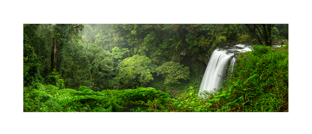 Shaun Trainer Fine Art Landscape Photography Prints. Zillie Falls waterfall surrounded by beautiful lush rain forest. Cairns, Queensland Australia.